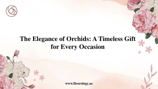 The Elegance of Orchids A Timeless Gift for Every Occasion