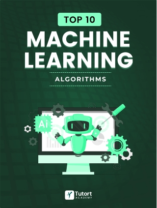 ML Magic: Algorithms That Actually Think!