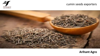 cumin seeds exporters