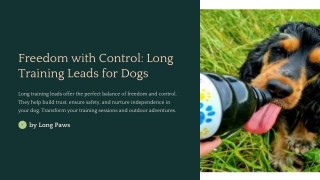Freedom with Control: Why Long Training Leads for Dogs Are Game-Changers