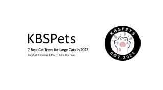 7 Best Cat Trees for Large Cats in 2025