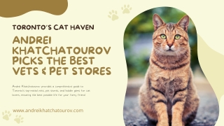 The Cat Lover’s Map: Andrei Khatchatourov Walks You Through Toronto’s Best