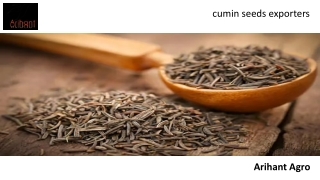 cumin seeds exporters