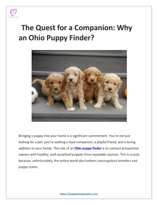 The Quest for a Companion: Why an Ohio Puppy Finder?