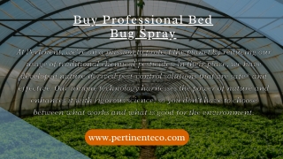 Buy Professional Bed Bug Spray