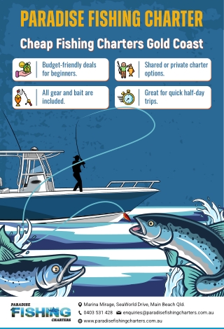 Affordable Fishing Charters on the Gold Coast – Paradise Fishing Charter