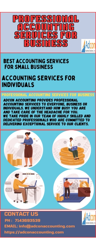 Professional Accounting Services for Business