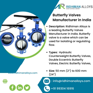 Butterfly Valves | Hydraulic Counterweight Butterfly Valves | Double Eccentric B