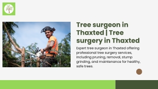 Tree surgeon in Thaxted  Tree surgery in Thaxted (2)