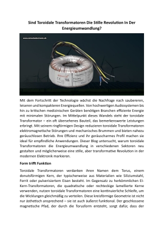 Sind Toroidale Transformatoren Die Stille Revolution In Der Energieumwandlung