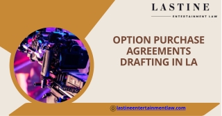 Tailored Legal Support for Option Purchase Agreements in LA