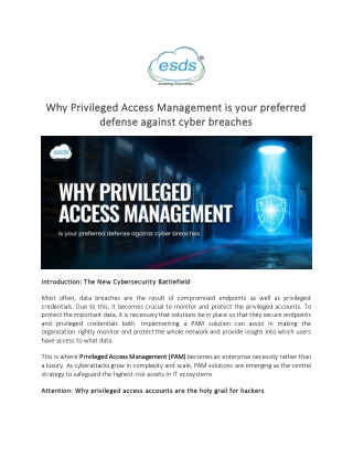 Why Privileged Access Management is your preferred defense against cyber breaches