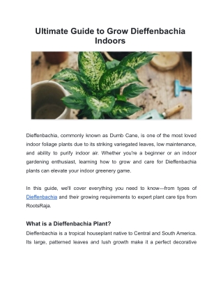 Ultimate Guide to Grow Dieffenbachia Indoors