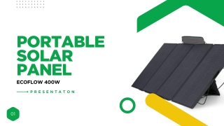 EcoFlow 400W Portable Solar Panel