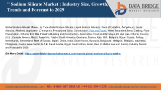 Global Sodium Silicate Market