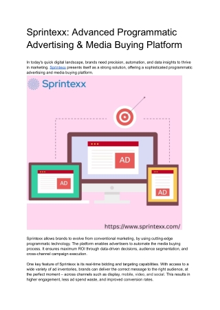 Sprintexx_ Advanced Programmatic Advertising & Media Buying Platform