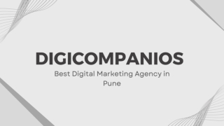 Best SEO Agency in Pune | DigiCompanions