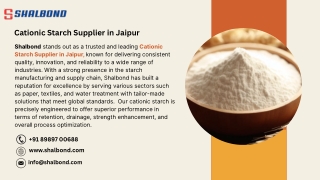 Cationic Starch Supplier in Jaipur