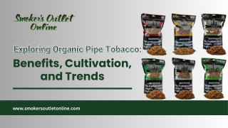Organic Pipe Tobacco Trends: Tradition Meets Sustainability