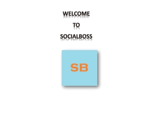 SocialBoss