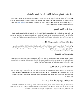 ورد أحمر طبيعي