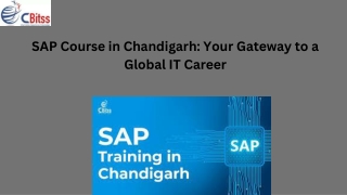 SAP Course in Chandigarh Your Gateway to a Global IT Career