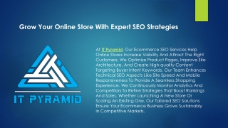 Ecommerce SEO services