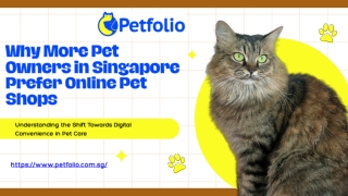 Why More Pet Owners in Singapore Prefer Online Pet Shops