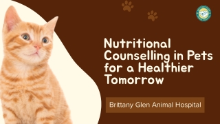 Nutritional Counselling in Pets: Small Changes, Big Health Wins