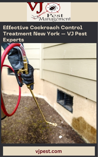 Effective Cockroach Control Treatment New York – VJ Pest Experts