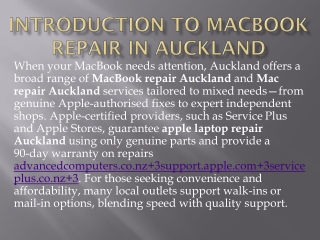 macrepair in auckland