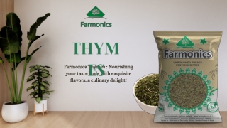 Farmonics Thyme Spice – Pure, Aromatic & All-Natural