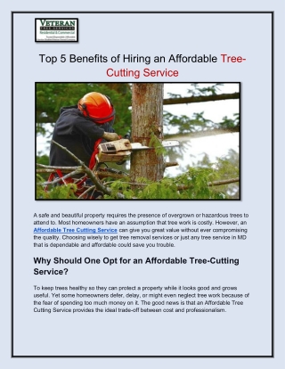 Top 5 Benefits of Hiring an Affordable Tree-Cutting Service
