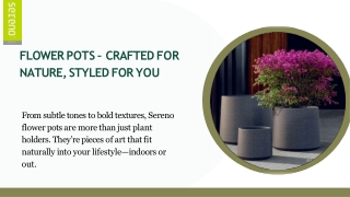 Flower Pots That Blend Beauty with Function