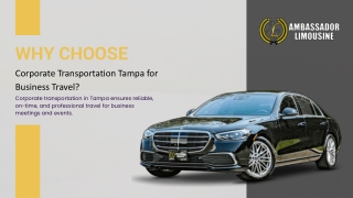 Why Choose Corporate Transportation Tampa for Business Travel?