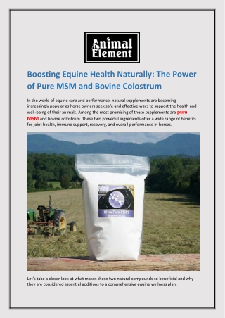 Boosting Equine Health Naturally The Power of Pure MSM and Bovine Colostrum