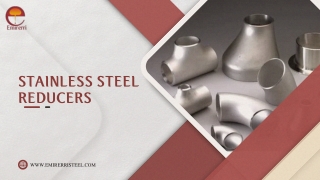 Stainless Steel Reducer