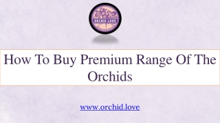 How To Buy Premium Range Of The Orchids