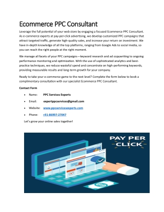 Ecommerce PPC Consultant