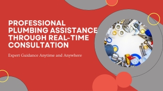 Professional Plumbing Assistance Through Real-Time Consultation