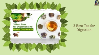 3 Best Tea for Digestion and Better Gut Health