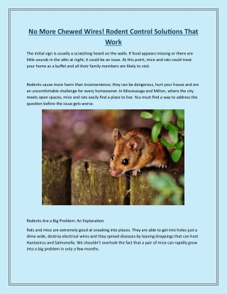 No More Chewed Wires! Rodent Control Solutions That Work