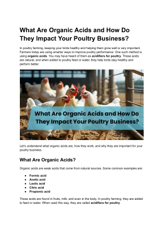 What is Organic Acids and How it Impact in Your Poultry Business