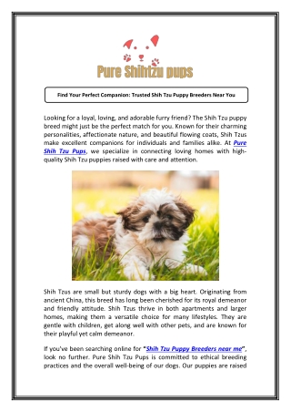 Explore Top Shih Tzu Puppy Breeders Near Me Now