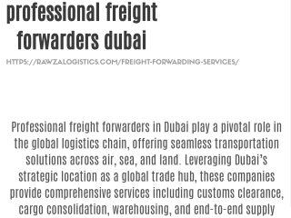 professional freight forwarders dubai