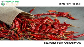 guntur dry red chilli