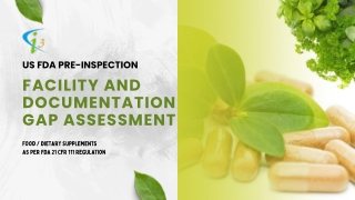 US FDA Pre-inspection Facility And Documentation Gap Assessment