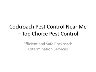 Cockroach Pest Control Near Me – Fast & Reliable Service