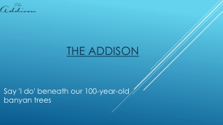 Top Outdoor Wedding Reception Venue in Boca Raton – The Addison