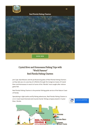 Crystal River Scallop Charter